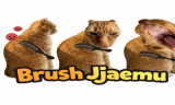 Brush Jjaemu background