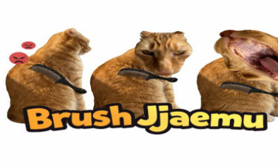 Brush Jjaemu img