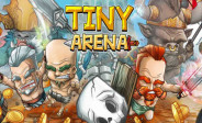 Tiny Arena img