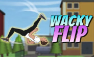 Wacky Flip img